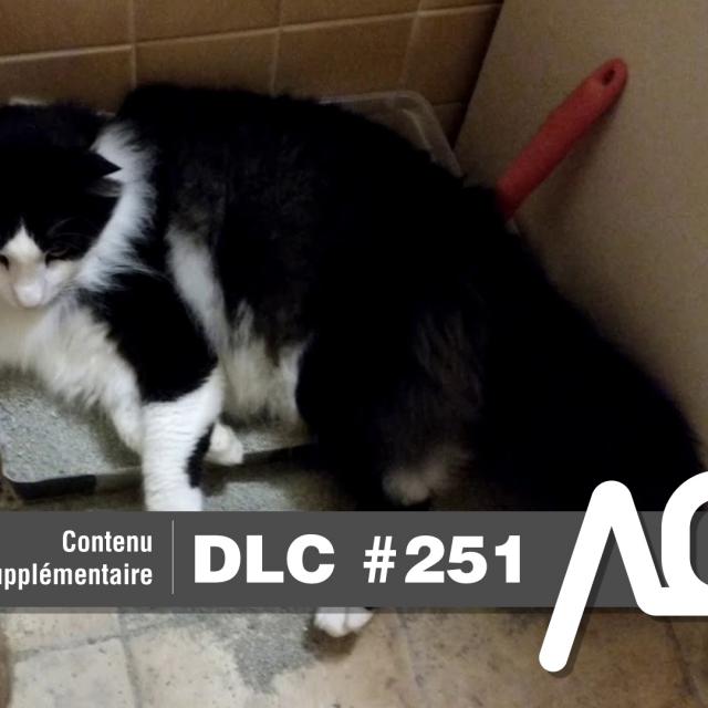 DLC #251 - Nos échanges avant et après l'enregistrement - arcadeqc.com
