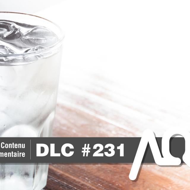 DLC #231 - Nos échanges avant et après l'enregistrement - arcadeqc.com