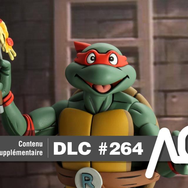 DLC #264 - Nos échanges avant et après l'enregistrement - arcadeqc.com