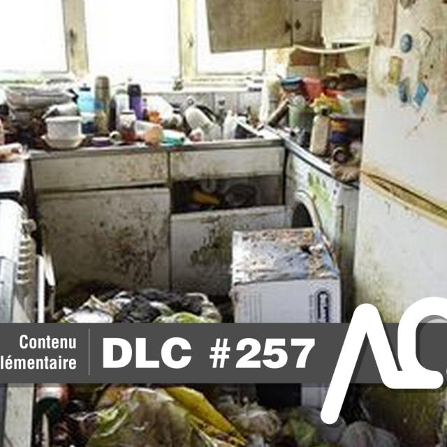DLC #257 - Nos échanges avant et après l'enregistrement - arcadeqc.com