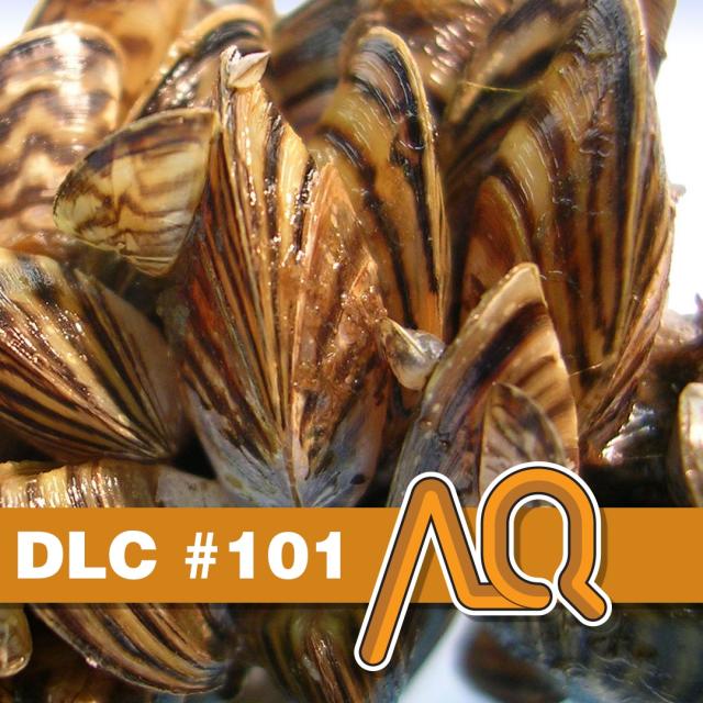 DLC - Podcast no. 101 - Nos échanges avant et après l'enregistrement - arcadeqc.com