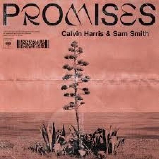 CALVIN HARRIS & SAM SMITH - PROMISES