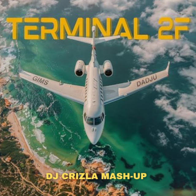 GIMS & DADJU X DADDY YANKEE - TERMINAL 2F LO QUE PASO (DJ CRIZLA MASH-UP)