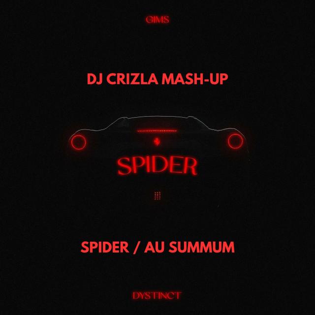 GIMS & DYSTINCT - SPIDER AU SUMMUM (DJ CRIZLA MASH-UP)