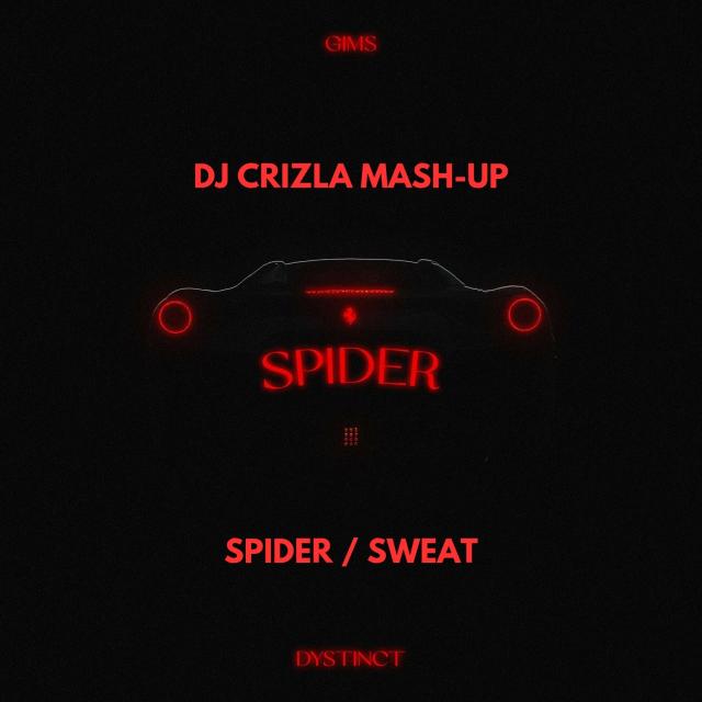GIMS & DYSTINCT - SPIDER SWEAT (DJ CRIZLA MASH-UP)