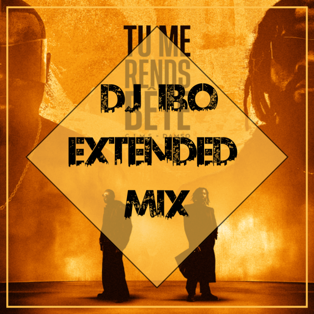 Gims & Damso - Tu Me Rends Bête (Dj IBO Extended Mix)