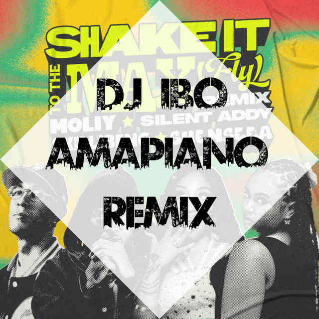 Moliy & Shenseea & Skilibeng – Shake It To The Max (Dj IBO Amapiano Remix)