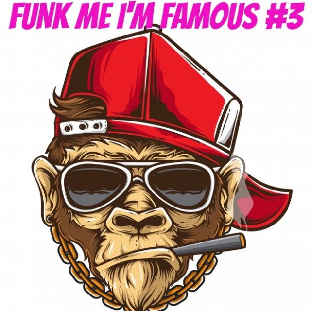 FUNK ME I'M FAMOUS #3