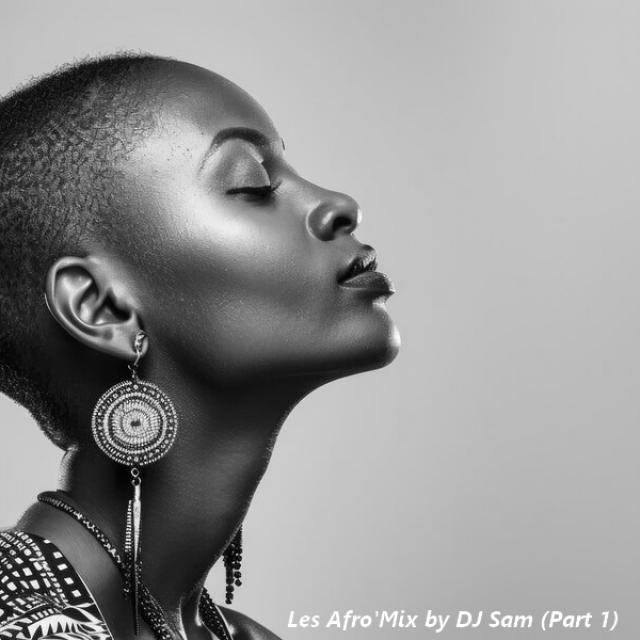 Les Afro'Mix by DJ Sam (Part 1)