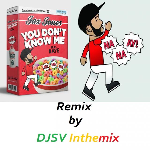 Jax Jones - You Don't Know Me (Visualiser) ft. RAYE 