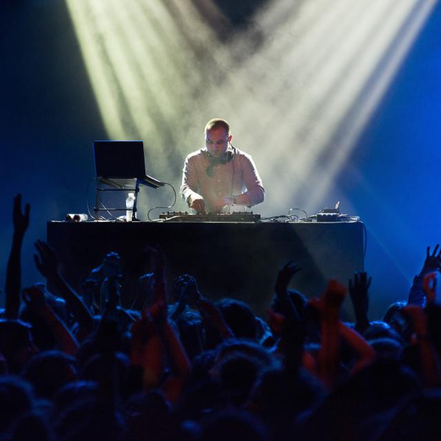 DOM CAN DANCE : House, Nu Disco and MORE VIBE
