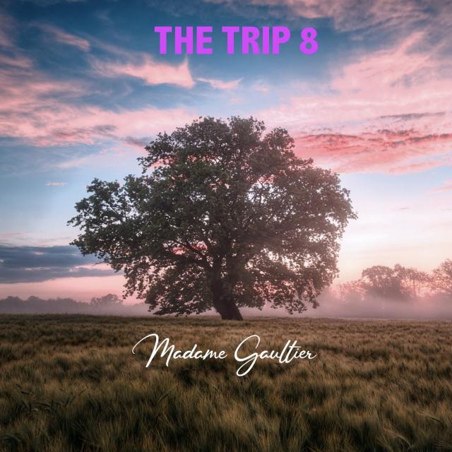 The Trip Vol.8 by Mme Gaultier