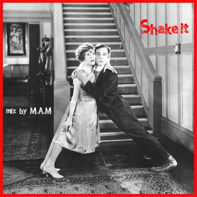 Shake It (Funky House / Dance & more)