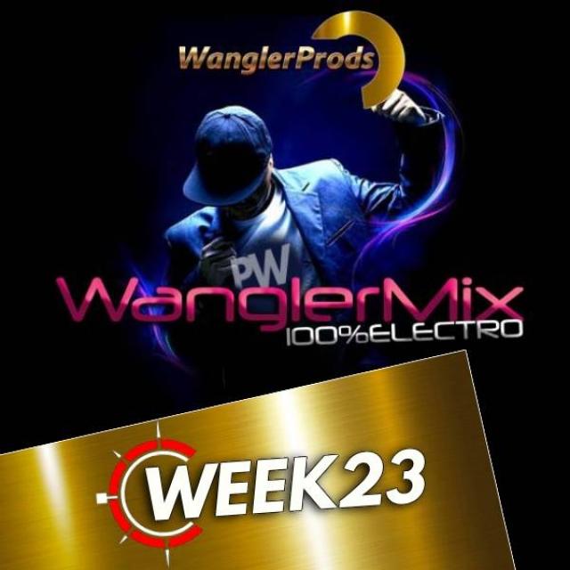 W.MIX100%ELECTRO 07JUIN2K25 episode artwork