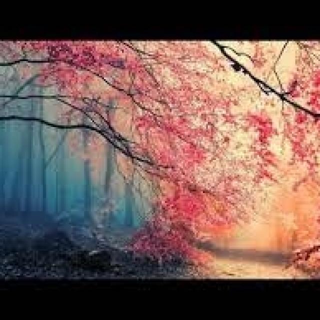 Nouvelles créations, actualités et précisions sur les utilisations en replay , avec Gaelle & Sylvie.