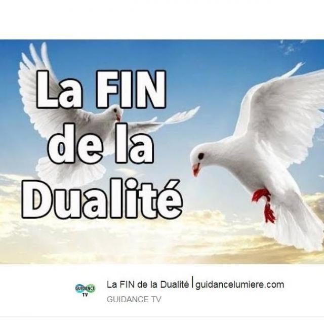 Jerome Rodange La FIN de la Dualité⎪guidancelumiere.com.