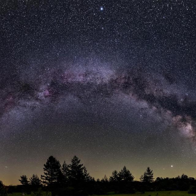 Michel Ribes Ce soir La Puissance de création de Syllia.