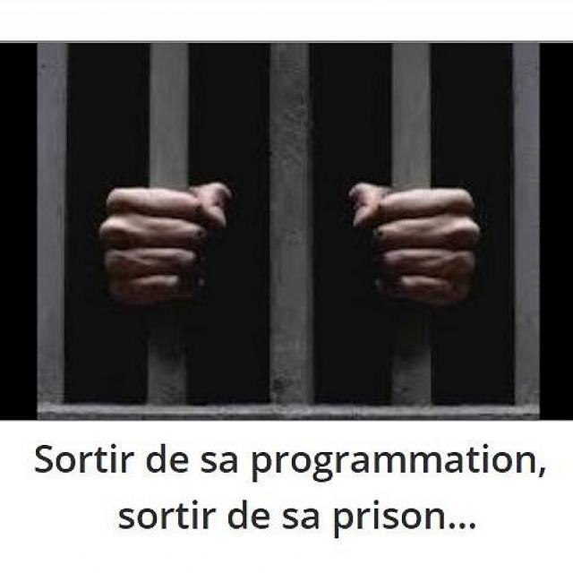 Michel Ribes Sortir de sa programmation, sortir de sa prison...