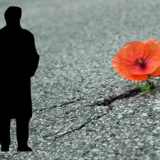 Michel Ribes La puissance de la vie, la liberté d'être et de créer sans limites.