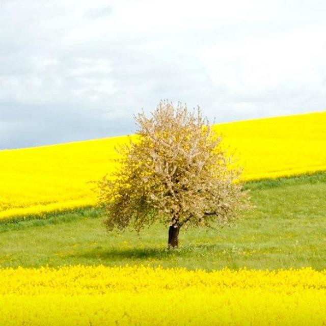 Podcast Sophie Riehl Méditation de purification Lâcher ses anciennes résistances pour laisser place au Nouveau sans mus