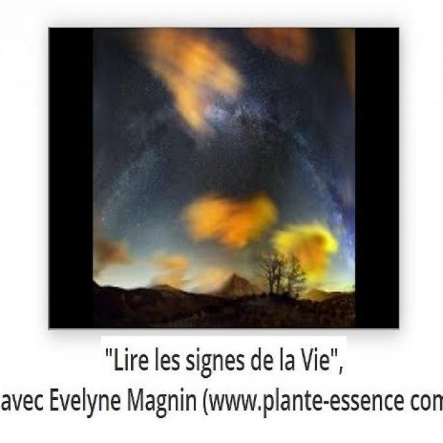 Sylvie Ptitsa Lire les signes de la Vie, avec Evelyne Magnin (www.plante-essence com)