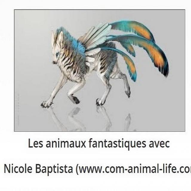 Sylvie Ptitsa Les animaux fantastiques avec Nicole Baptista (www.com-animal-life.com)