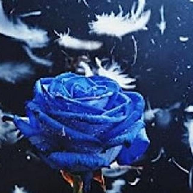 Podcast Sylvie Ptitsa Le témoignage de Pierre  La violence, c'est pas drôle et ça peut détruire des vies.