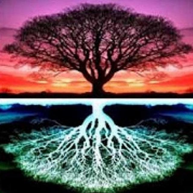 23 nov 2013 Podcast Sophie Riehl méditation d'ancrage à la Terre.