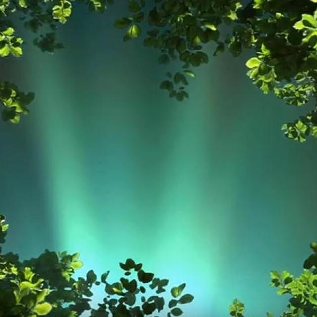 Lulumineuse Activation premier chakra - Muladhara.