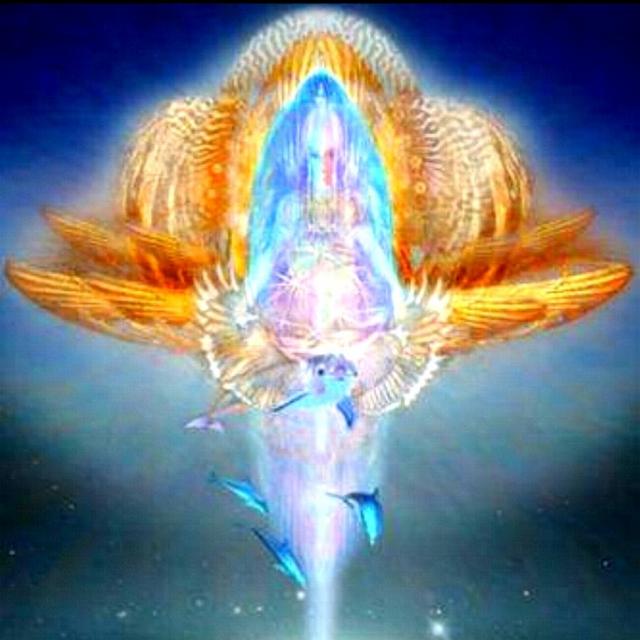 Voyez les forces opposées, nourissez désormais la lumière et seulement elle