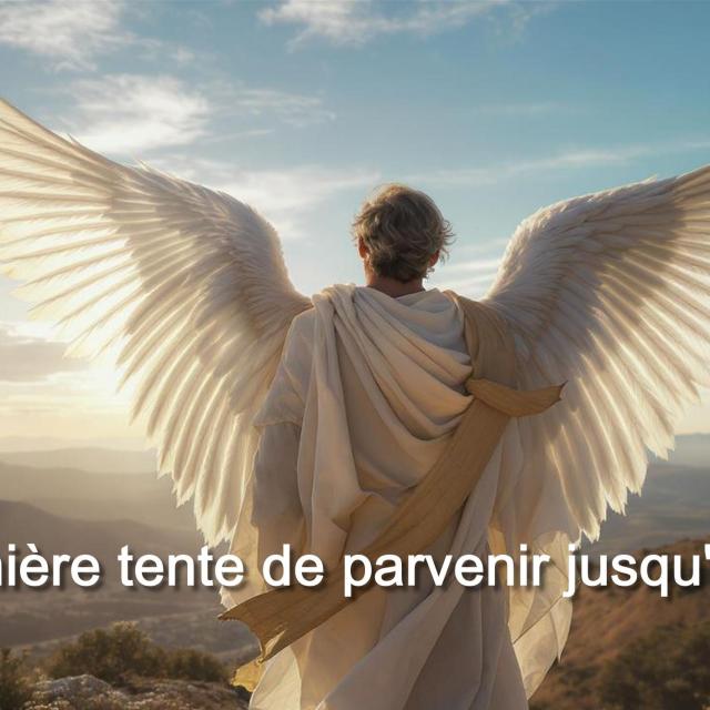 Michel Ribes Ce soir La lumière tente de parvenir jusqu'à nous.