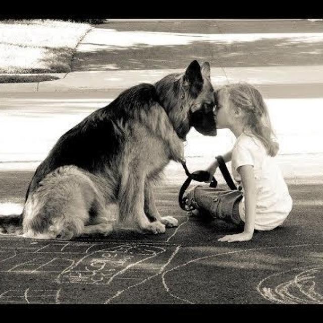 Sylvie Ptitsa La relation Animal-Humain, Humain-Animal, avec Nicole Baptista (www.com-animal-life.com)