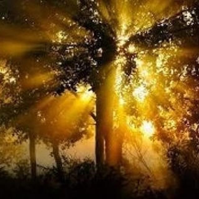 Podcast de Sylvie Ptitsa Cultivez votre Produit Intérieur du Bonheur (P.I.B.), avec Sabrina BENMECHERI