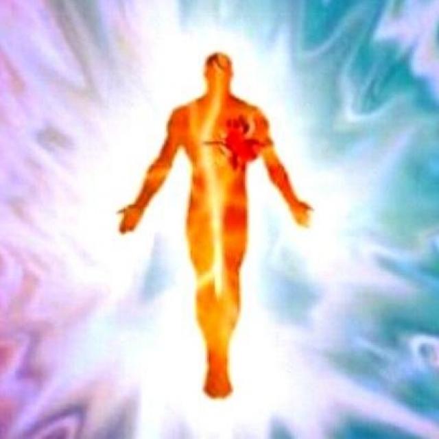 Michel Ribes Ce soir le 160121 L'émergence de l'homme universel.