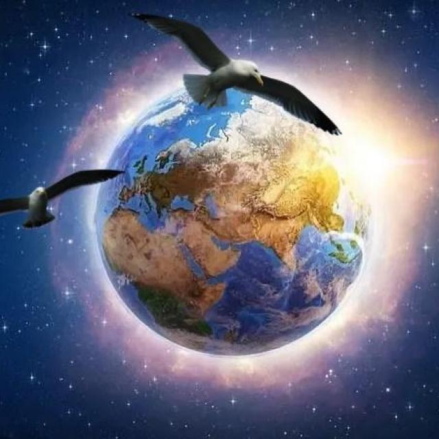 Michel Ribes Les questions pour le mental les réponses pour l'esprit.