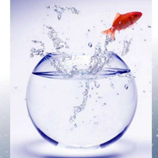 Michel Ribes: Il est temps de sortir de l'illusion, du piège pour enfin se révéler.