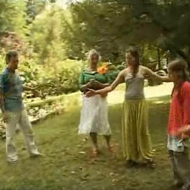 le 08 2007 Communiquer avec les arbres Yann Lipnick