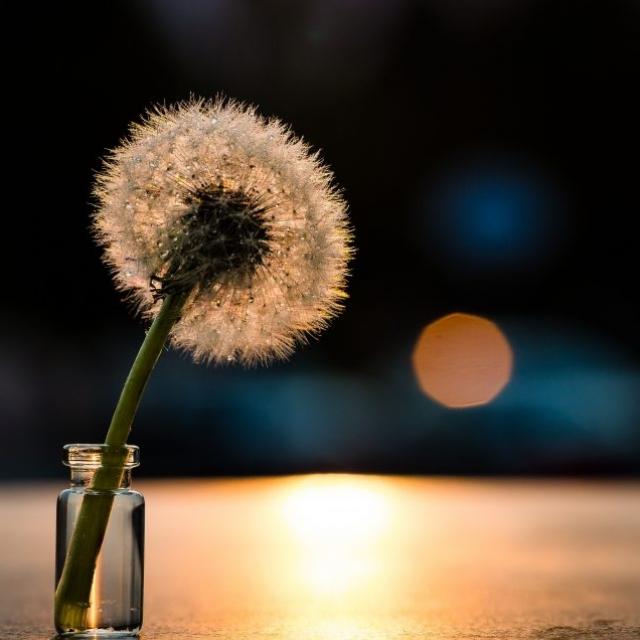 Michel Ribes Ce soir maitriser la peur de la mort, même si la vie ici est précaire.
