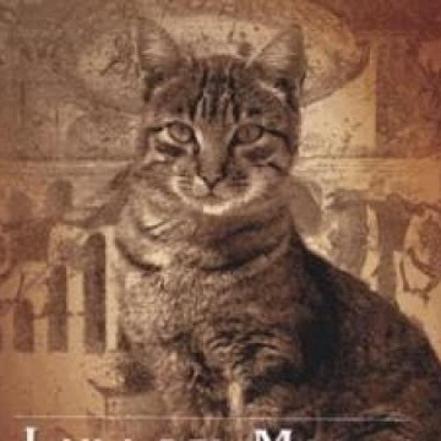 Podcast Voyage initiatique avec les chats entretien avec Laila Del Monte.