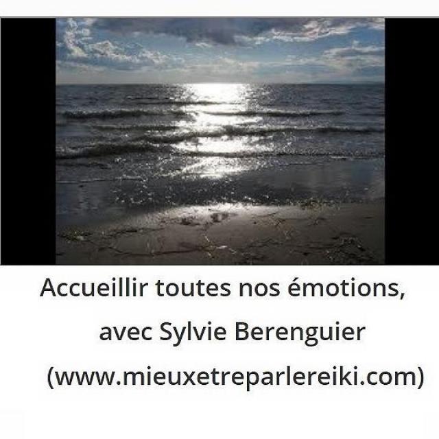 Sylvie Ptitsa Accueillir toutes nos émotions, avec Sylvie Berenguier (www.mieuxetreparlereiki.com) 1