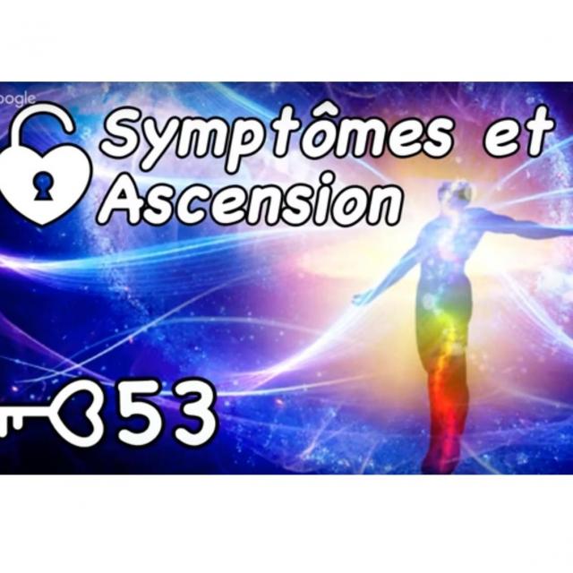 MétaClé 53 Symptômes et Ascension www.guidancelumiere.com