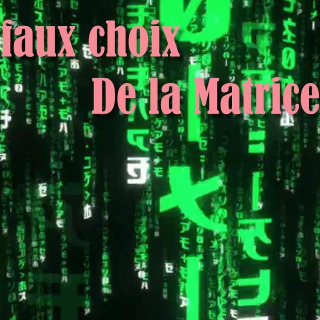 Michel Ribes Ce soir Les faux choix de la Matrice.
