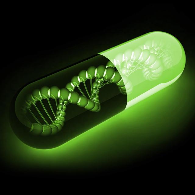 Vibracapsule 7 13  Participez à Une Co-création Vibrale et Vibrante