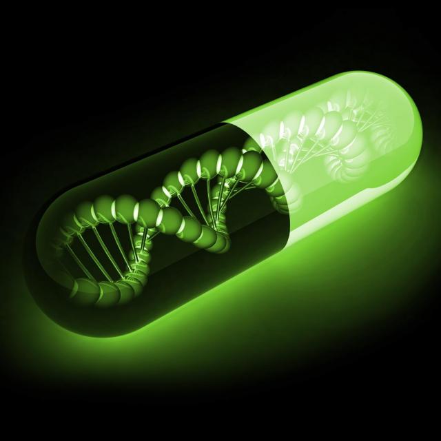 Vibracapsule 5  13  Participez à Une Co-création Vibrale et Vibrante