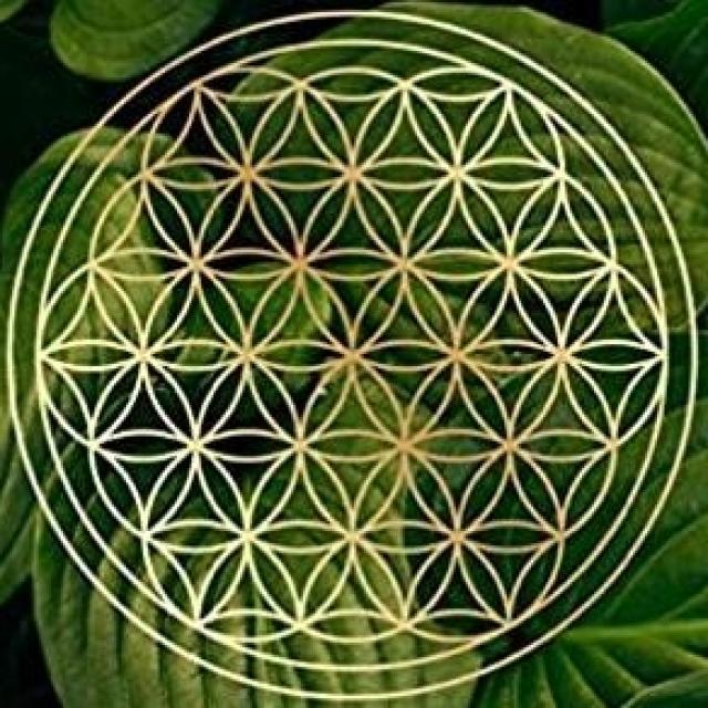 Michel Ribes Ce soir le 140421 Une étrange énergie perturbante nous traverse.