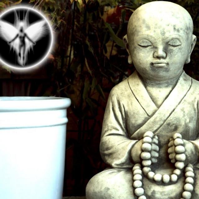 La Vérité sur le Karma vous rendra Libres (Jérôme et ses Anges)