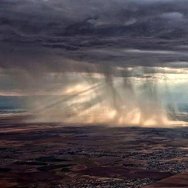 Michel Ribes Ce 28 03 au soir Les dominos tombent...de façon impressionnantes
