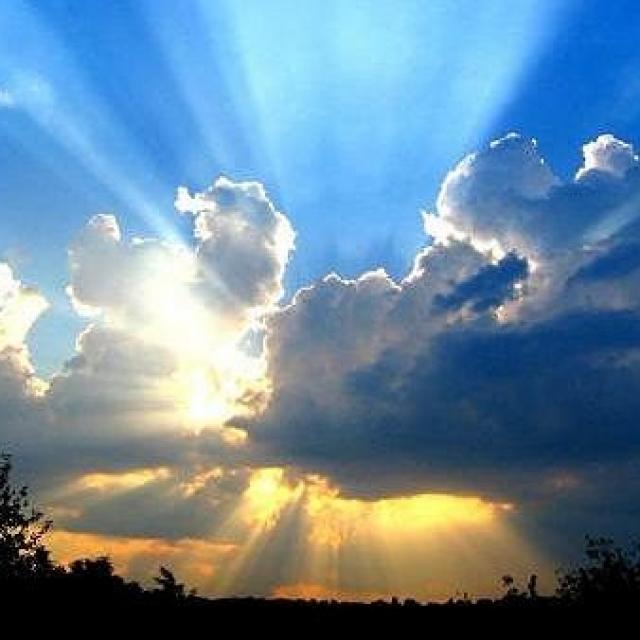 Michel Ribes - Ne vous fiez pas aux apparences de l'obscurité.