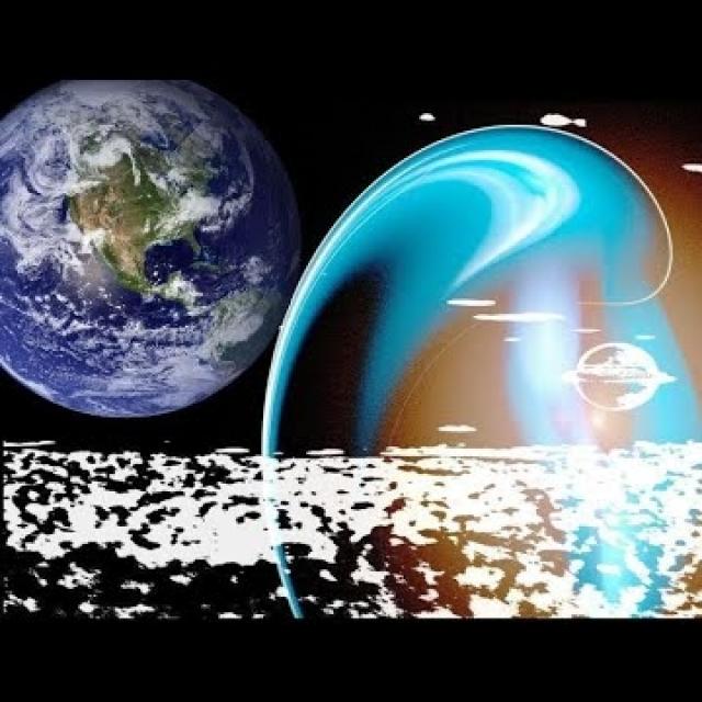 Michel Ribes Le monde vu par mon cerveau ou mon mental, est-ce pareil Vous connaissez-vous