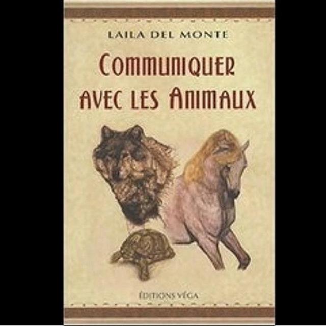 Podcast Laila Del Monté Comment communiquer avec les animaux   vidéo Dailymotion